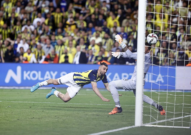 外的运动文 外的运动文