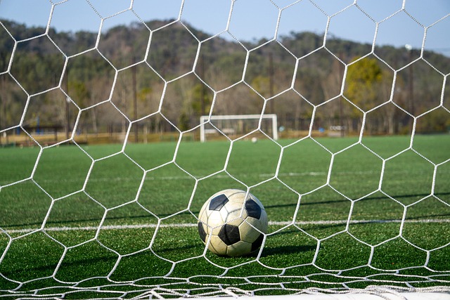 競爭力的球 競爭力的球