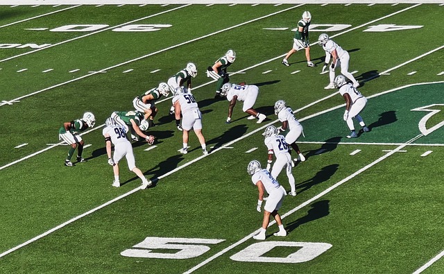 未能继续作 未能继续作