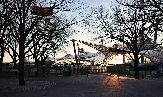 子足球錦標 子足球錦標