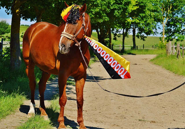 好事多磨 好事多磨