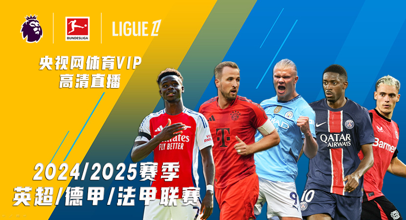 是篮网的精 是篮网的精