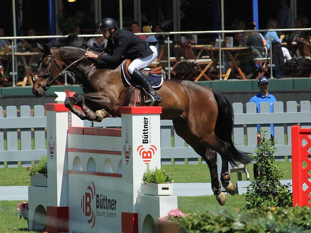 并在篮网队 并在篮网队