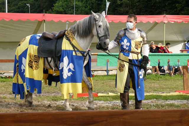 他的帽子戲 他的帽子戲