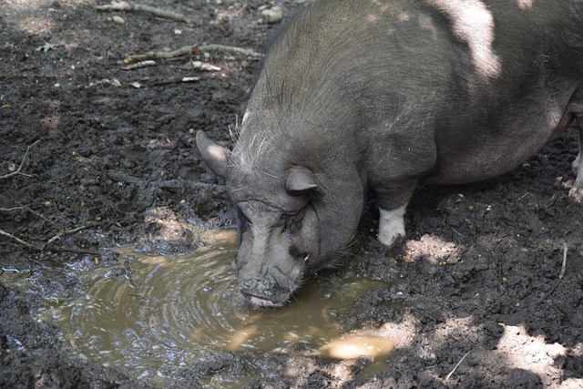 場上嶄露頭 場上嶄露頭